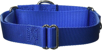 PetSafe Martingale Collar, 1" Medium, Royal Blue