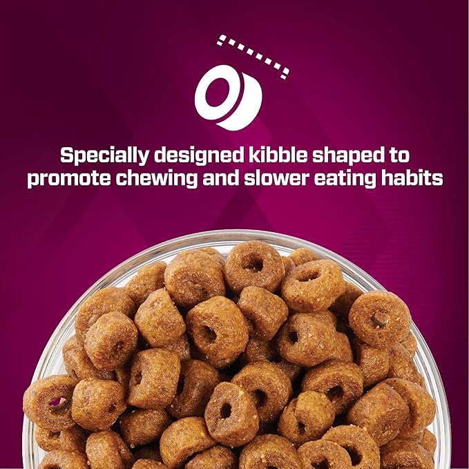 Eukanuba Premium Performance Puppy Pro Dry Dog Food, 4 lb Bag