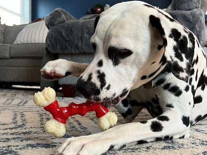 Nylabone Power Chew Double Bone Long Lasting Chew Toy for Dogs Medium - Up to 35 lbs.
