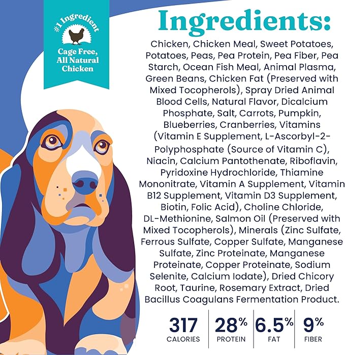 Solid Gold Nutrientboost Fit and Fabulous Dog Food - Dry Dog Food for Weight Control - Digestive Probiotics for Dogs - Grain & Gluten Free - High Fiber & Low Fat - Superfoods & Antioxidants - 22 LB