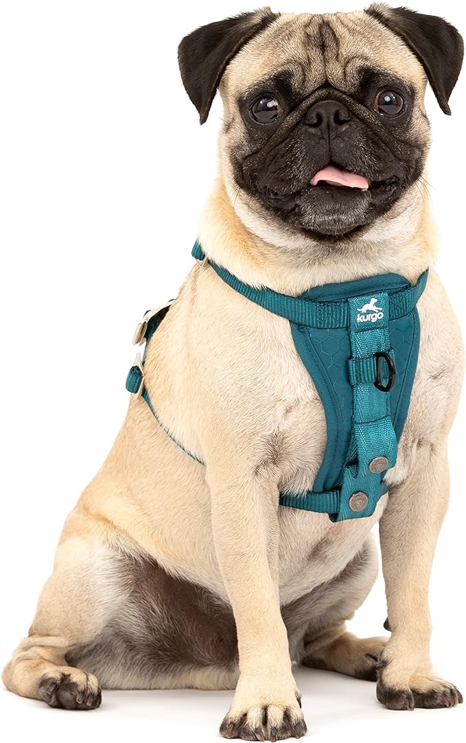 Kurgo Tru-Fit Enhanced Strength Dog Harness - Crash Tested Car Safety Harness for Dogs, No Pull Dog Harness, includes Pet Safety Seat Belt, Steel Nesting Buckles (Ink Blue, X-Small)