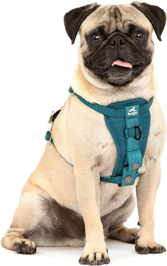 Kurgo Tru-Fit Enhanced Strength Dog Harness - Crash Tested Car Safety Harness for Dogs, No Pull Dog Harness, includes Pet Safety Seat Belt, Steel Nesting Buckles (Ink Blue, X-Small)