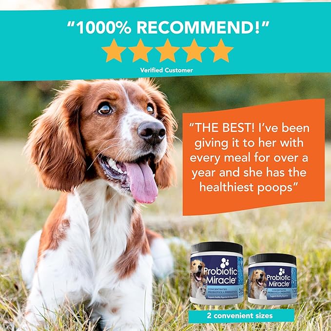 Probiotics for Cats & Dogs : Probiotic Miracle : Bowel & Gut Support : Digestive Health : Stop Diarrhea, Loose Stool