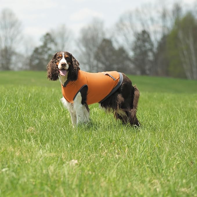 Insect Repellant Lightweight Hoodie for Protecting Dogs from Fleas, Ticks, Mosquitoes & More 20-Inch