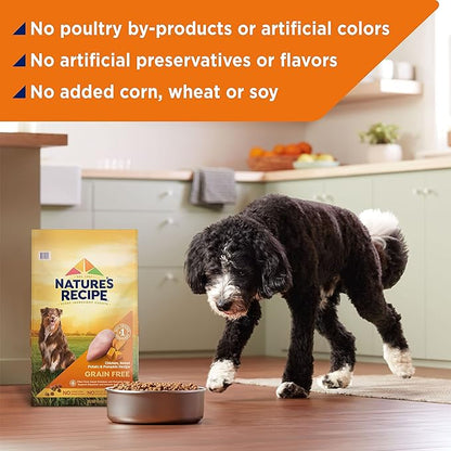 Nature’s Recipe Grain Free Large Breed Chicken, Sweet Potato & Pumpkin Recipe Dry Dog Food, 24 lb. Bag