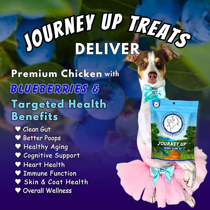 Journey Up Berry Glow Up, Chicken and Blueberry Dog Jerky Treats Made in USA with Prebiotics for Gut & Immune, Omega 3s & 6s for Skin & Coat, Antioxidants for Healthy Aging, Small-Large Dog, 12 oz.
