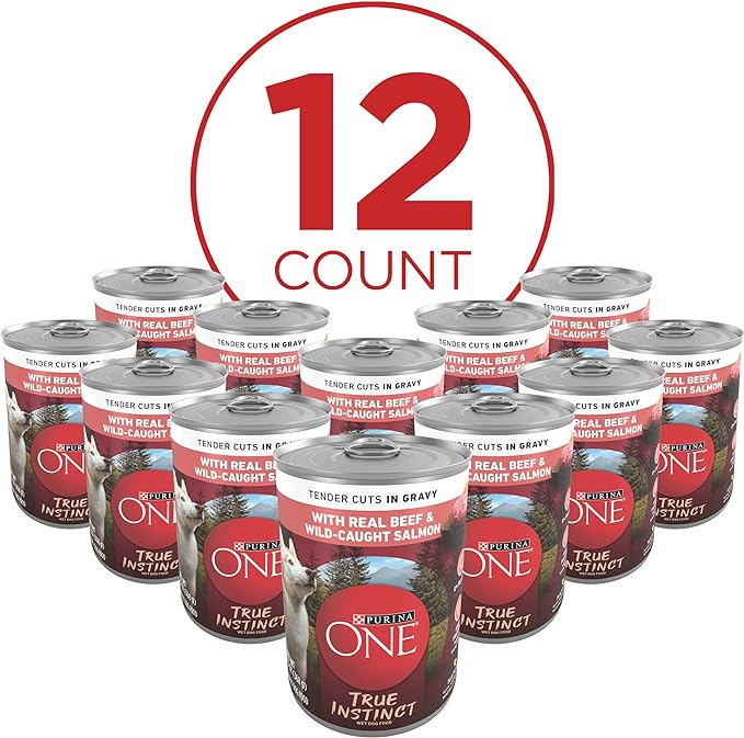 Purina ONE High Protein Wet Dog Food True Instinct Tender Cuts in Dog Food Gravy With Real Beef and Wild-Caught Salmon - (Pack of 12) 13 oz. Cans