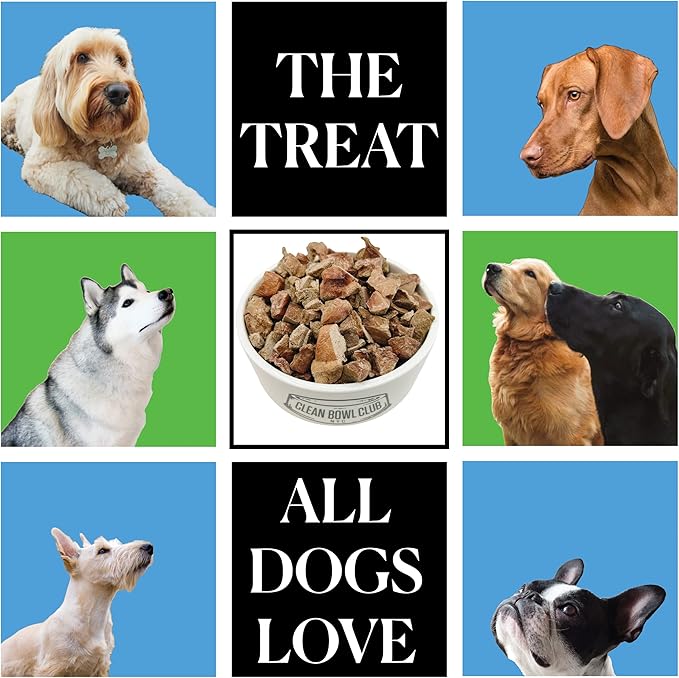 Freeze Dried Beef Liver | One Ingredient | High Protein Dog Treat | Grain Free | Made in USA | Net Weight 3 oz