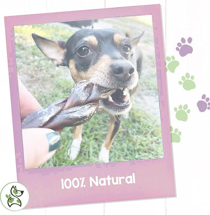 Nature Gnaws Braided Beef Jerky Chews for Dogs - Premium Natural Beef Gullet Sticks - Simple Single Ingredient Tasty Dog Chew Treats - Rawhide Free 3 Count (Pack of 1)