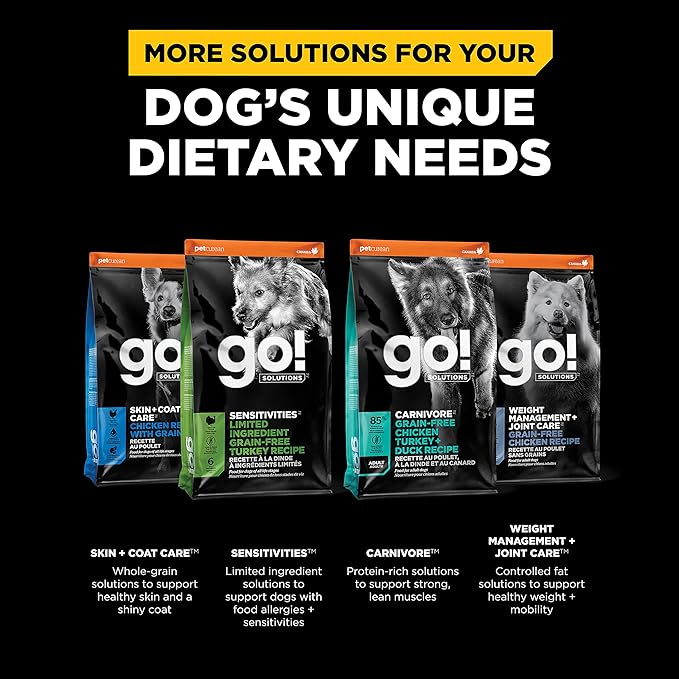 GO! SOLUTIONS Digestion + Gut Health Salmon Recipe with Ancient Grains for Dogs, 12 lb Bag - Dry Food for All Life Stages, Including Puppies, Adult and Senior Dogs