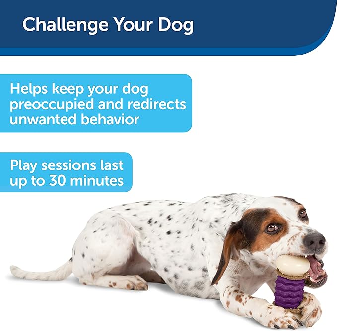 PetSafe Busy Buddy Nobbly Nubbly Treat Holding Dog Toy – Strong Chewers – Challenging - Treat Rings Included - Large