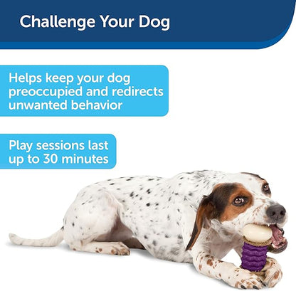 PetSafe Busy Buddy Nobbly Nubbly Treat Holding Dog Toy – Strong Chewers – Challenging - Treat Rings Included - Large