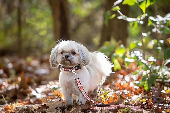Pets First Collegiate Pet Accessories, Dog Leash, Nebraska Cornhuskers, Large