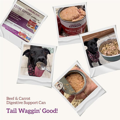 Health Extension Gravy Dog Food, Beef & Carrot Entrée, Crude Protein, Fiber & Fat with Added Vitamins, for All Life Stages, Wet Dog Food, Improve Gut Health, Digestive Support (9 Ounce, 12 Cans)