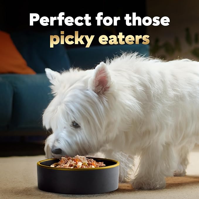 CESAR SIMPLY CRAFTED Adult Wet Dog Food Meal Topper, Chicken, Carrots, Barley & Spinach, 1.3oz., Pack of 10