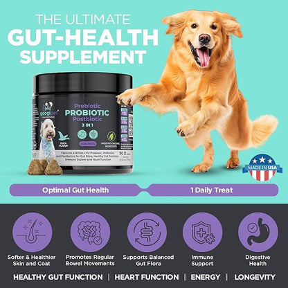 Googipet Probiotics for Dogs Digestive Health - Pre and Probiotics for Dogs + Digestive Enzymes - Dog Probiotic Chews w/Prebiotics & Pumpkin, Anti Diarrhea for Dogs, Constipation, Digestion, & Itching