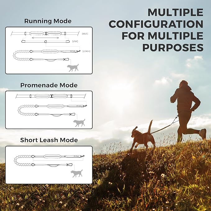 Dog Running Waist Belt - Running Dog Lead - Canicross Harness Carry Personal Items Running, Walks, Hikes - Waist Leads for Dogs with Belt Pouch, Converts into Canicrossing Line - Emerald Blue