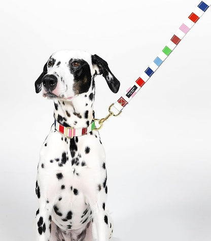 Kate Spade New York Heavy Duty Leash for Female or Male Dogs, Cute Pet Leash with Gold Metal Hardware, Long Dog Lead for Small Medium Large Breeds (Large, Adventure Stripe)