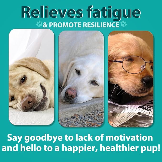 Hemp Calming Chews for Dogs 110 Count, Dog Calming Treats, Helps with Dog Anxiety, Separation, Barking, Stress Relief, Melatonin for Dogs, Sleep Calming Aid, for All Breeds & Sizes