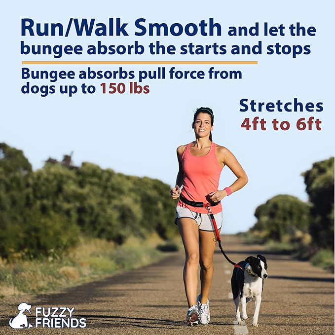 Hands Free Dog Leash for Smooth, Controlled Running or Walking with Your Pup - Comfortable Waist Leash Belt - 2 Convenient Pouches - Padded Handles and a Tough Bungee