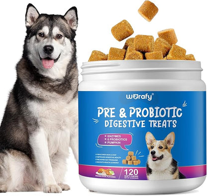 Probiotics for Dogs,Dog Probiotics for Digestive Enzymes,Gut Health,Itchy Skin,Allergies,Yeast Balance,Probiotics Chew for Dogs,Dog Probiotics for Small,Medium,Large Dogs,120 Count,Peking Duck Flavor