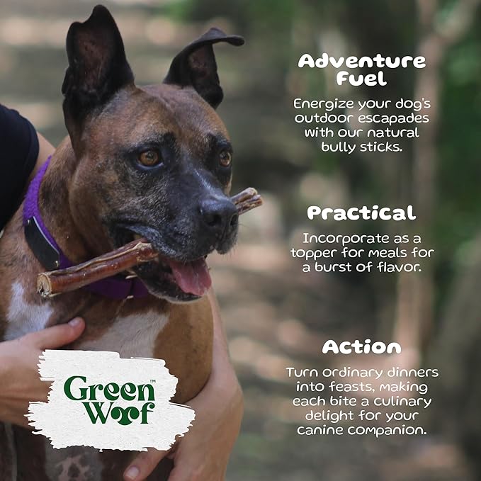 Bully Sticks (12 Inch), Easily Digestible 100% Pure Beef Treats, Pasture-Raised, Organic, Grain-Free, Durable and Long-Lasting Chews for Medium & Large Dogs (Extra Large, 6, Count)