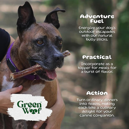Bully Sticks (12 Inch), Easily Digestible 100% Pure Beef Treats, Pasture-Raised, Organic, Grain-Free, Durable and Long-Lasting Chews for Medium & Large Dogs (Extra Large, 6, Count)