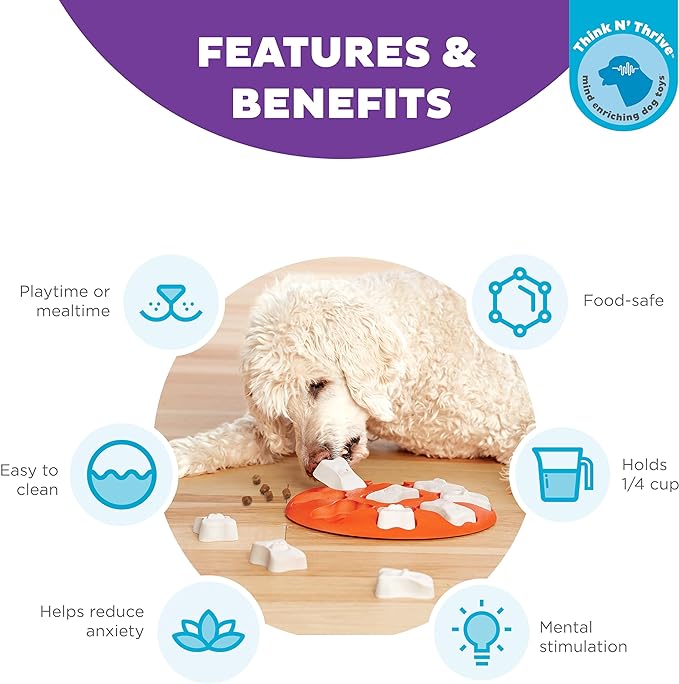 Outward Hound Nina Ottosson Dog Smart Dog Puzzle Interactive Treat Puzzle Dog Enrichment Dog Toy, Level 1 Beginner, Orange
