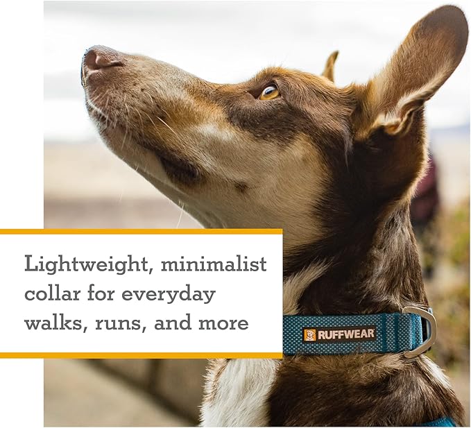 Ruffwear, Hi & Light Dog Collar, Minimal and Ultralight Collar for Everyday Walks and Runs, Sage Green, 14"-20"
