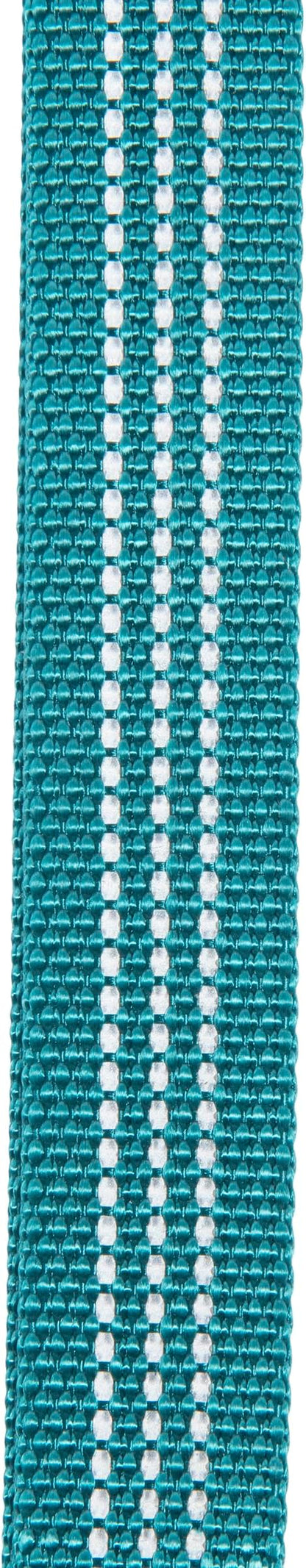 Carhartt Fully Adjustable Nylon Webbing Collars for Dogs, Reflective Stitching for Visibility, Shaded Spruce (Nylon Webbing), Medium