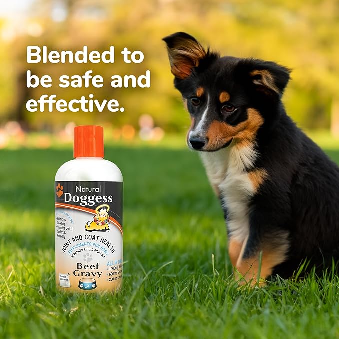 Dressing Best Hip and Joint Supplement for Dogs, Glucosamine & Chondroitin/Joint Health/Salmon Oil for Dogs Skin and Coat Health, Delicious Beef Gravy Flavor, 32 Oz