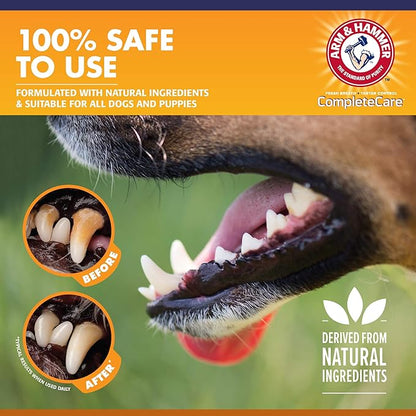 Arm & Hammer Complete Care Enzymatic Dog Toothpaste Value Size | 6.2 oz Peanut Butter Flavor Enzymatic Dog Toothpaste for Puppies | Great Tasting Dog Toothpaste with Arm & Hammer Baking Soda