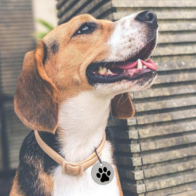 MYLUCKYTAG Stainless Steel QR Code Pet ID Tags Dog Tags - Pet Online Profile - Scan QR Receive Instant Pet Location Alert Email