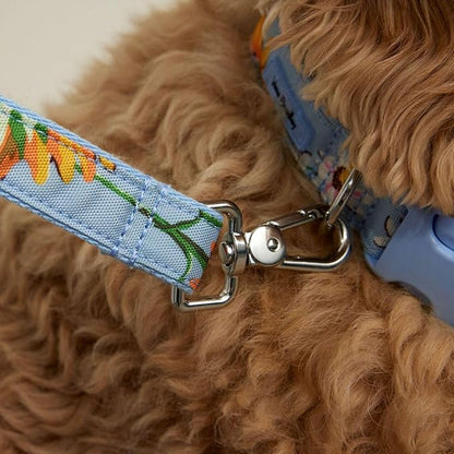 Vera Bradley Women's Recycled Lighten Up Water-repellent Pet Leash, Sunflower Sky, Large