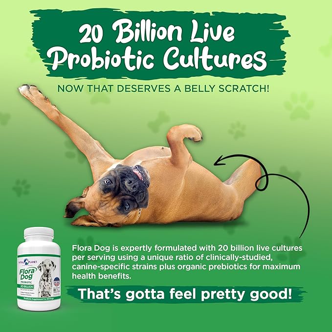 Vital Planet - Flora Dog Probiotic Chewable Tablets Supplement with 20 Billion Cultures and 10 Strains, High Potency Immune and Digestive Support Probiotics for Dogs, 30 Beef Flavored Chewable Tablets