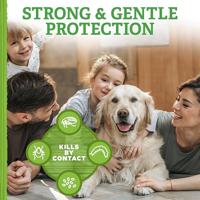 Flea and Tick Dog Shampoo - Flea & Tick Treatment for Dogs - Flea & Tick Killer with Certified Natural Oils - 12 Fluid Ounces