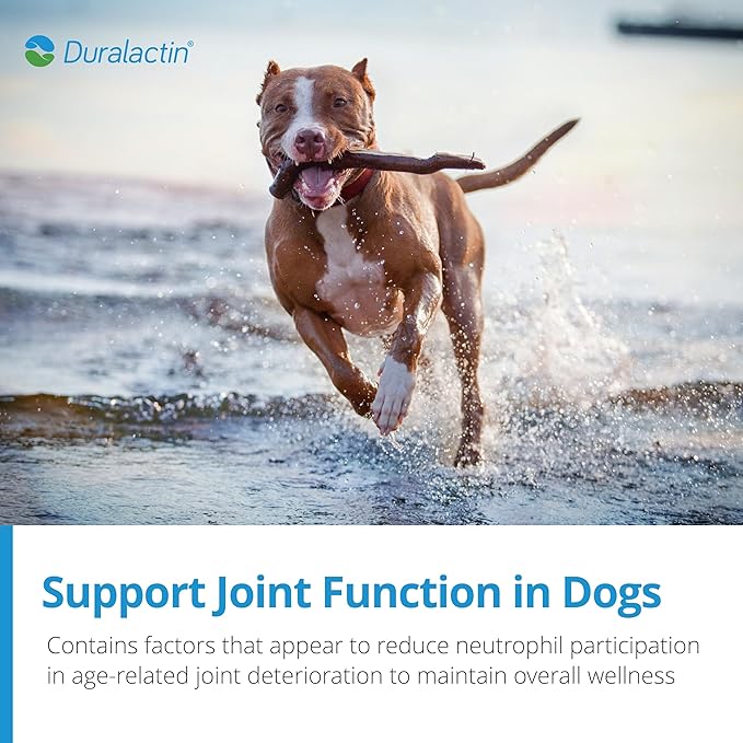 PRN Pharmacal Duralactin Canine Joint Plus - Joint Health Supplement for Dogs & Puppies to Support Healthy Cartilage Levels & Joint Function while Helping Manage Soreness - 60 Soft Chews