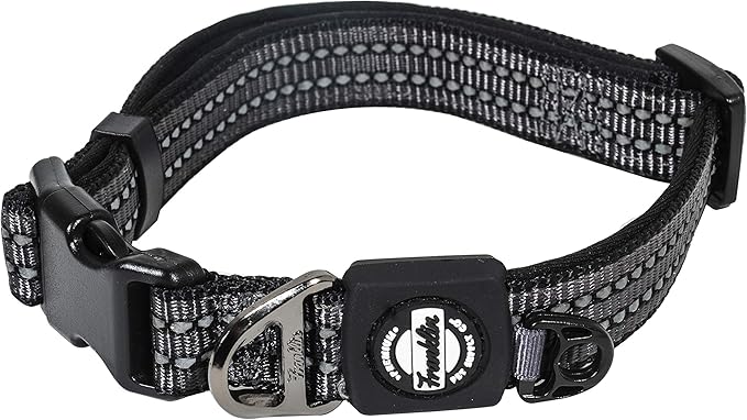 Nylon Dog Collar – Reflective – Franklin Pet Supply Co™ – Comfort Fit – Neoprene – Adjustable – Small – Black