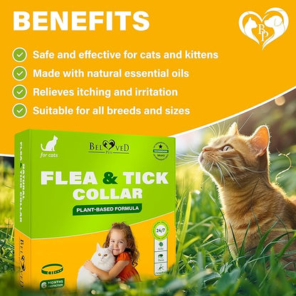 Natural Flea & Tick Collar for Cats - 12 Months Control of Best Prevention & Safe Treatment - Anti Fleas and Ticks Essential Oil Repellent (1 pack)