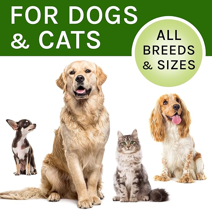 Kennel Cough Herbal Drops for Dogs & Cats - Cough Relief - Throat Soother - Dry and Wet Pet Cough - Made in US - 2 Fl Oz