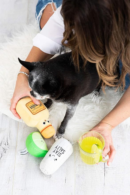 Pearhead Pet Toys, Plush Dog Squeaker Toys and Cat Teaser Toys, Dog Owner and Cat Owner Pet Toy Sets, Must Have Pet Accessories for Pet Owners