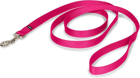 PetSafe Nylon Dog Leash - Strong, Durable, Traditional Style Leash with Easy to Use Bolt Snap - 3/4 in. x 6 ft., Raspberry Pink