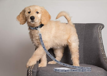Pets First Collegiate Pet Accessories, Dog Leash, Penn State Nittany Lions, Large