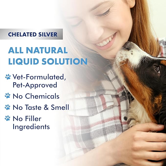 PetSilver Immune Support Supplement, Promotes Respiratory Health in Cats and Dogs, Helps Cough & Allergies, Nebulizer Solution, All Natural Dog Allergy Relief, Patented Chelated Silver, 16 oz