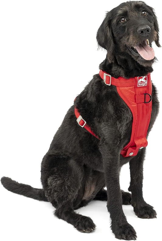Kurgo Tru-Fit Enhanced Strength Dog Harness - Certified Crash Tested Car Safety Harness for Dogs - Metal Buckles, Padded Chest - includes Pet Seatbelt - No Pull Training - Red, Large