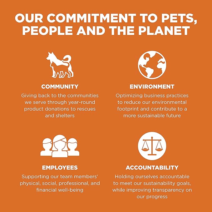 GO! SOLUTIONS Skin + Coat Care - Dry Dog Food, 12 lb - Salmon Recipe with Grains for All Life Stages - Complete + Balanced Nutrition for Dogs