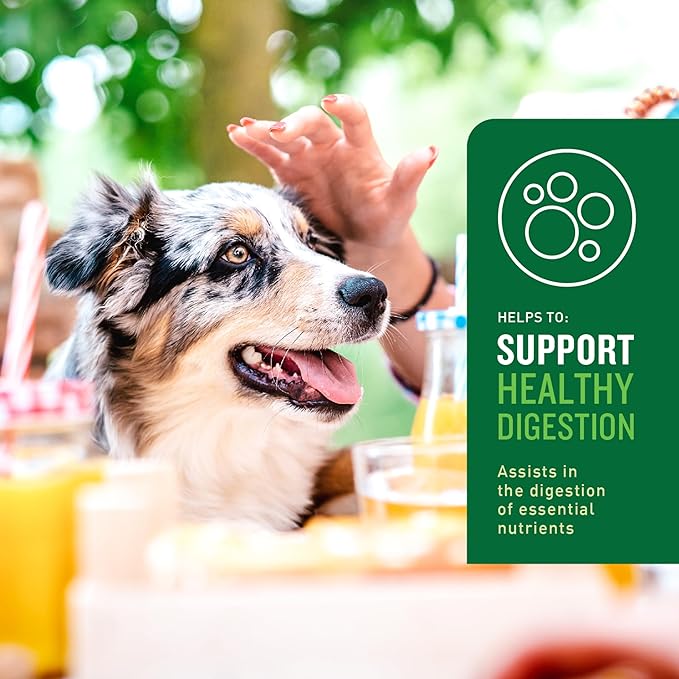 VetIQ Probiotic Supplement for Dogs, Digestive Support for Dogs, Nourishes Gut Bacteria and Supports Bowel Function, Hickory Smoke Flavor, Made in The USA, 60 Count