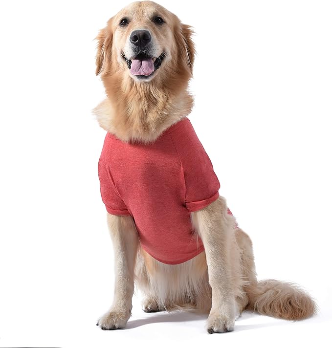 Star Wars for Pets "That's No Moon" Dog Tee | Star Wars Dog Shirt for Large Dogs | Size Large | Soft, Cute, and Comfortable Dog Clothing and Apparel, Cute Dog Clothes