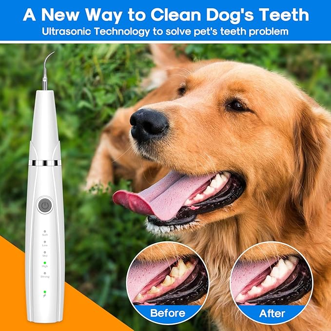 Dog Teeth Cleaning Kit for Pet Teeth Cleaning, Dog Plaque Remover for Teeth, 5 Modes Dog Tartar Remover for Teeth Care to Remove Stains Calculus, 10 in 1 Pet Cleaner Toothbrush (White)
