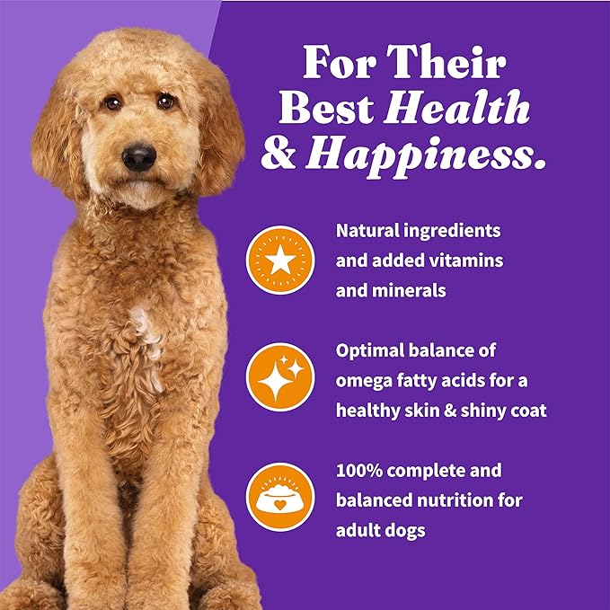 Halo Holistic Dog Food, Complete Digestive Health Cage-Free Chicken and Brown Rice Recipe, Dry Dog Food Bag, Adult Formula, 21-lb Bag